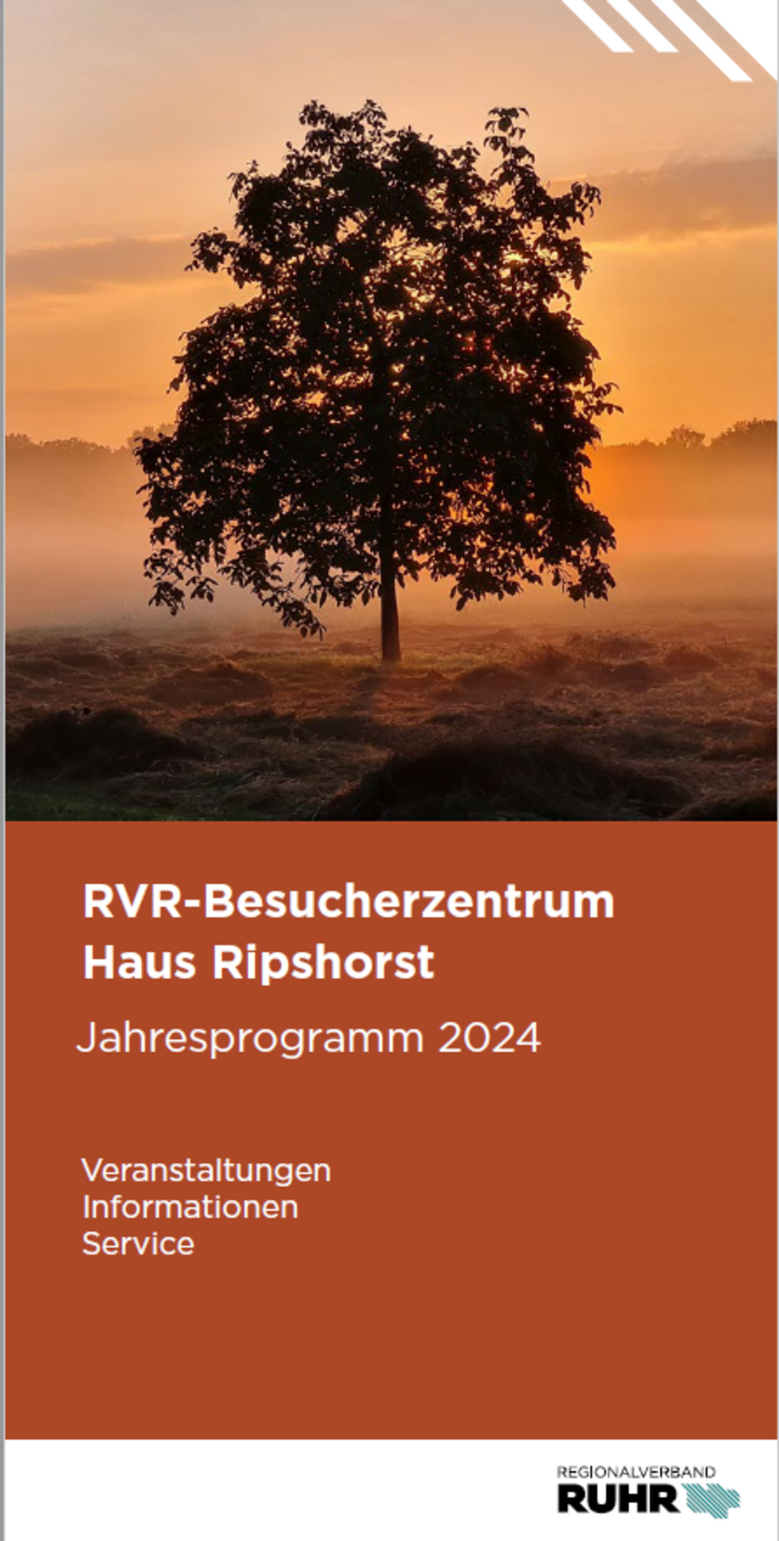 Programmheft RVR-Besucherzentrum Haus Ripshorst 2024