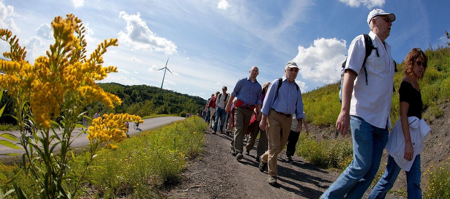Gruppe auf geführter Wanderung.