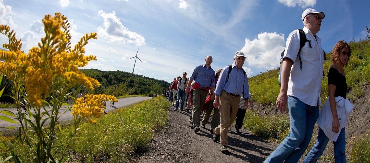 Gruppe auf geführter Wanderung.