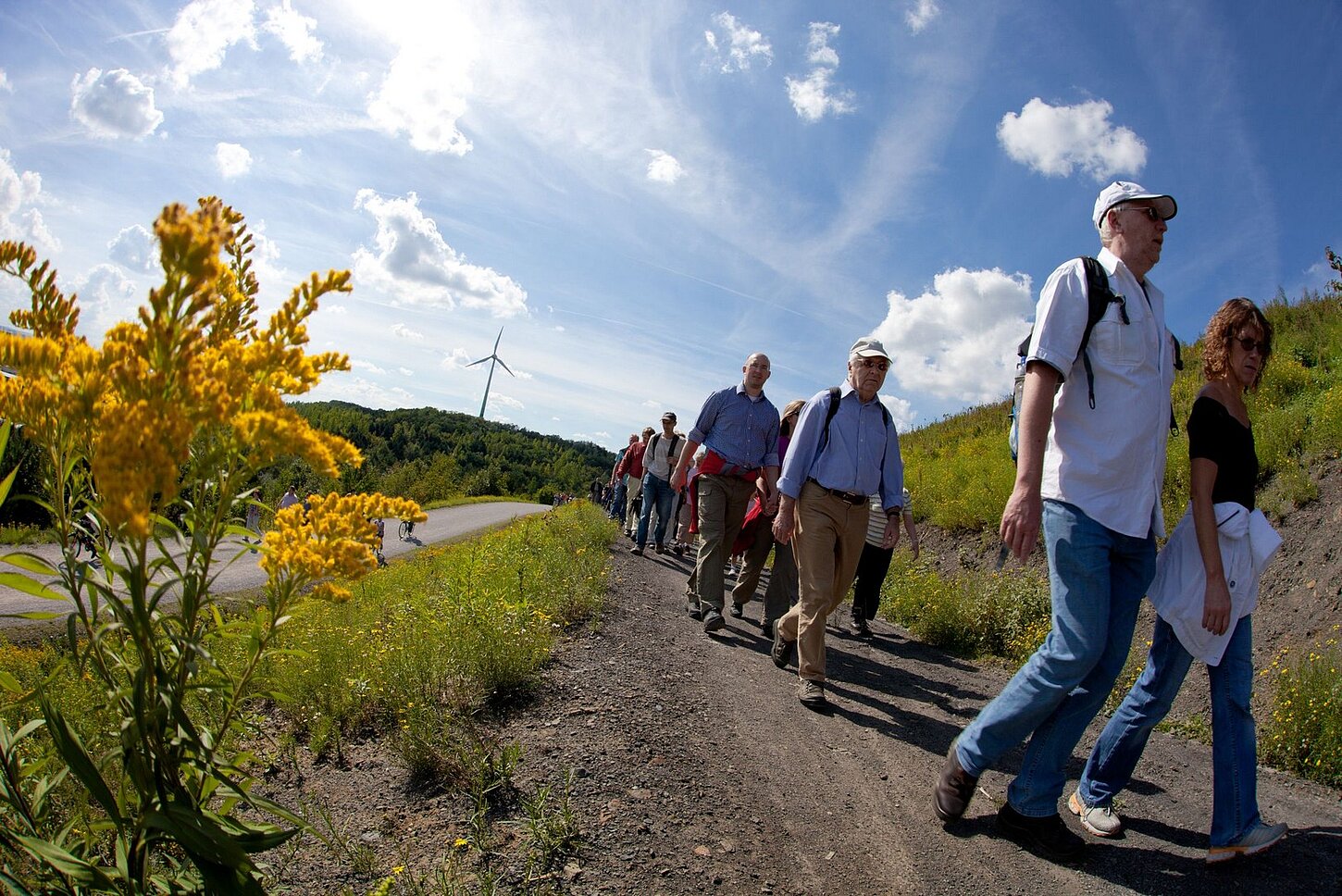 Gruppe auf geführter Wanderung.