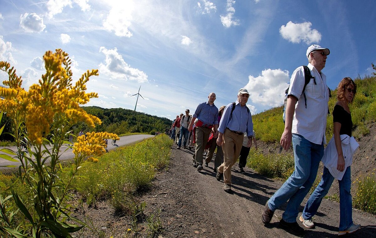 Gruppe auf geführter Wanderung.