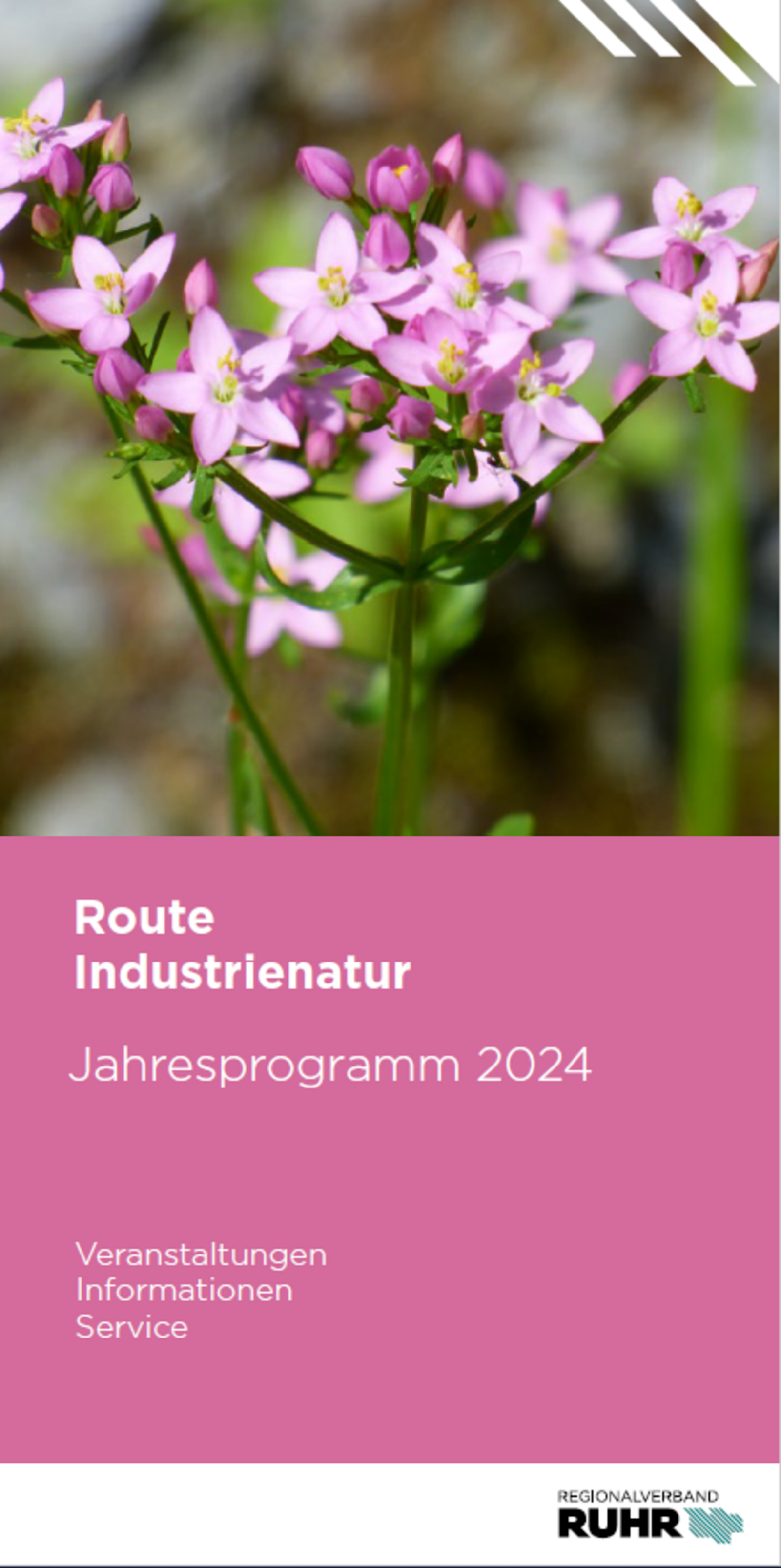Programmheft Route der Industrienatur 2024