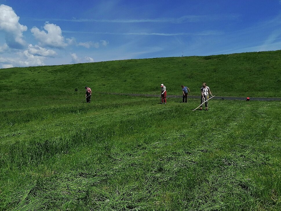Sensenkurs auf der Halde Hoheward