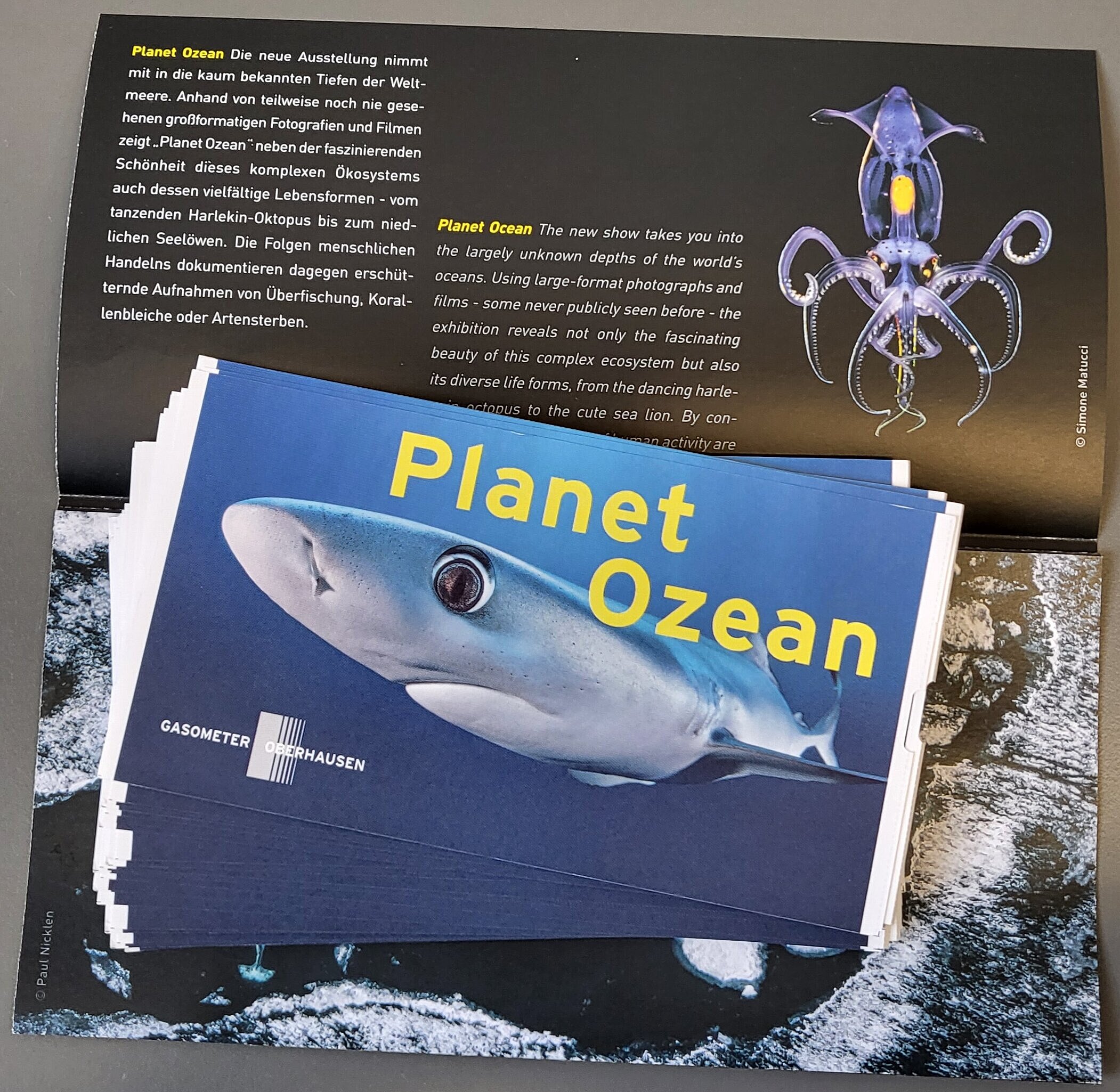 Ausstellung Planet Ozean im Gasometer Oberhausen