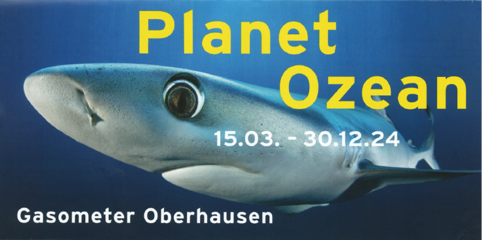 Die Ausstellung Planet Ozean im Gasometer hat begonnen