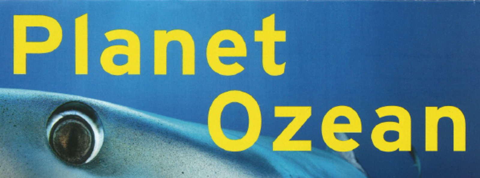 Die Ausstellung Planet Ozean im Gasometer hat begonnen