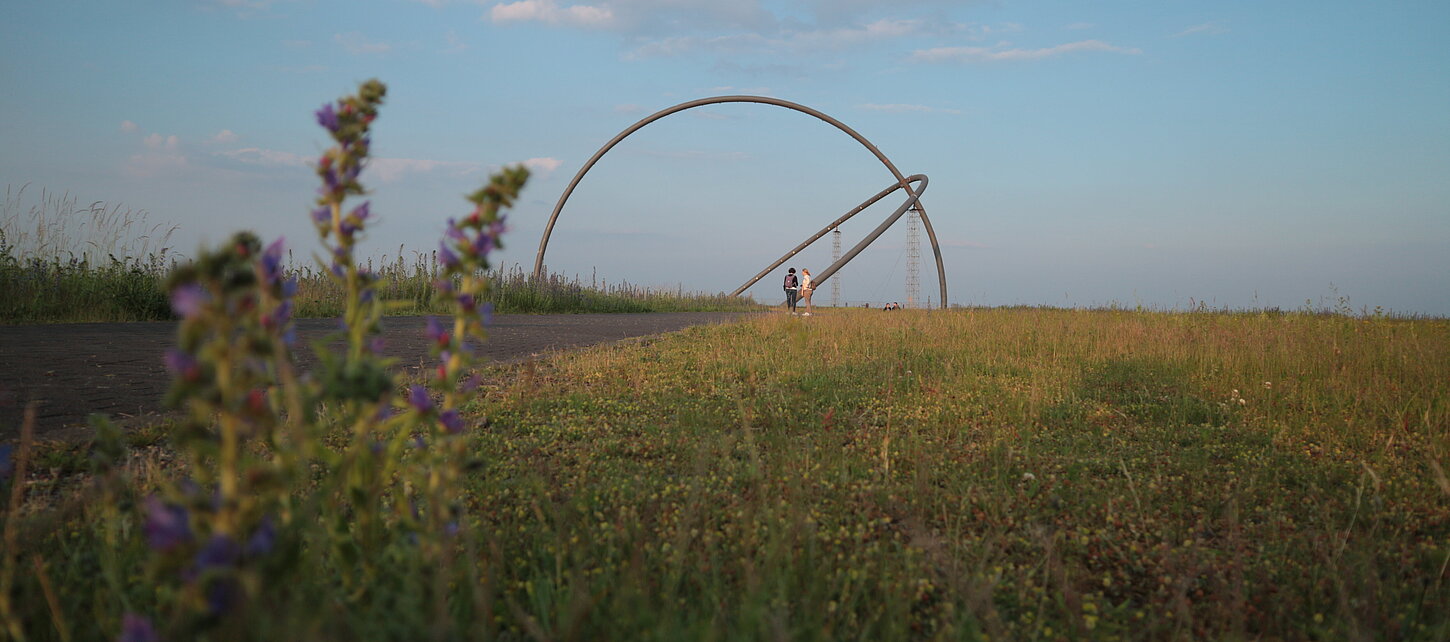 Im Hintergrund das Horizontobservatorium auf der Halde Hoheward, im Vordergrund Pflanzen. 