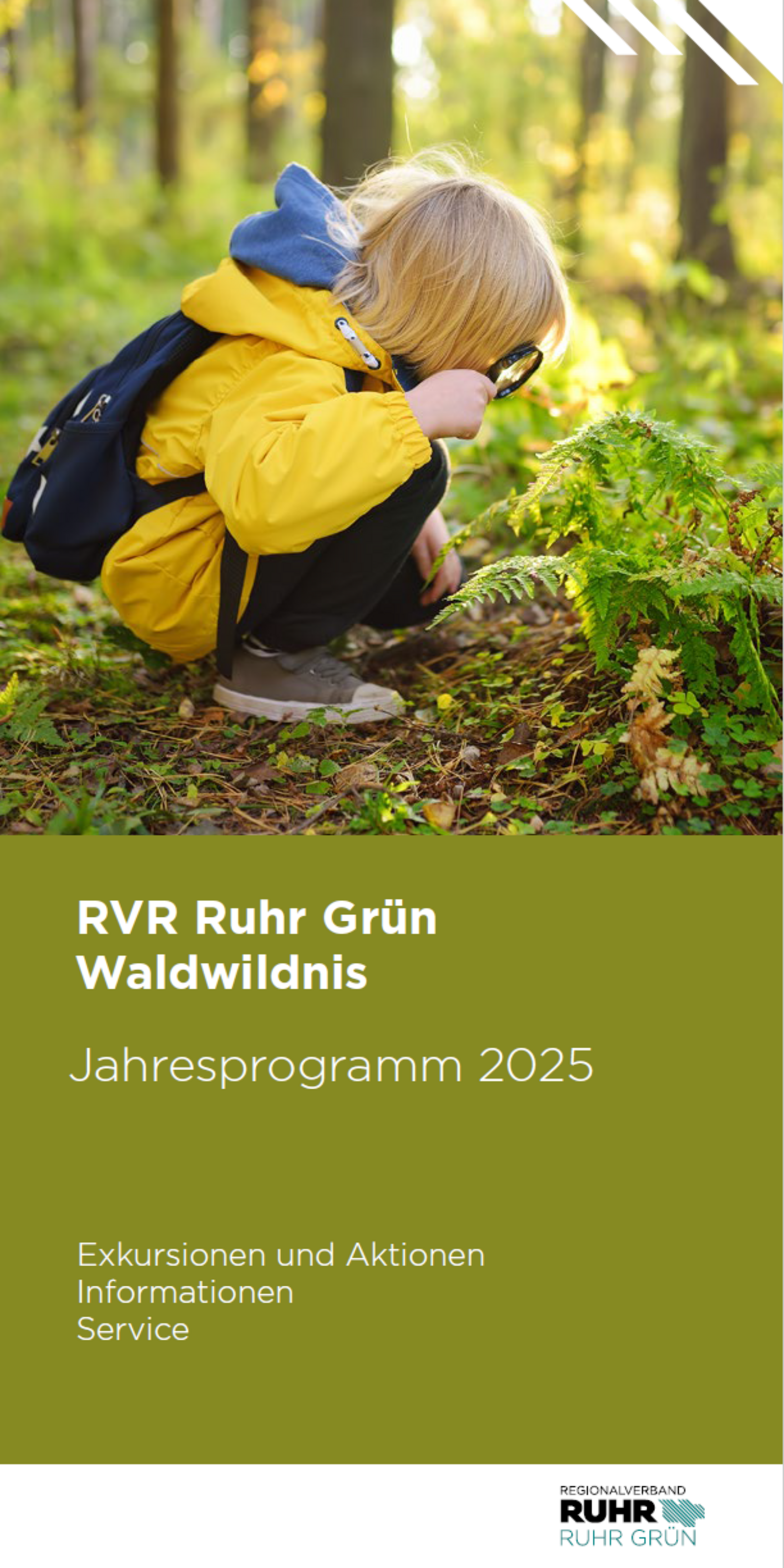 Jahresprogramm Heidhof