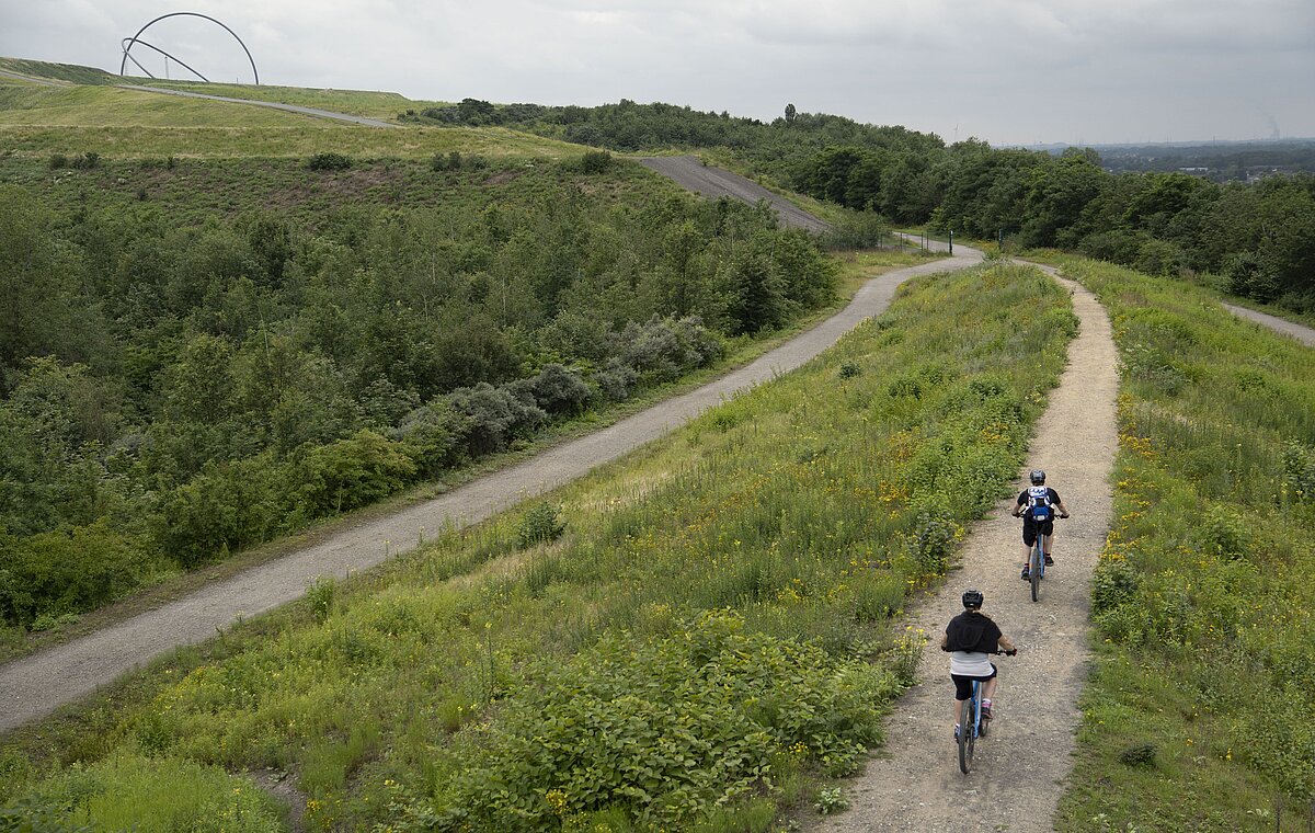 E-Mountainbiker auf der offiziellen Mountainbikestrecke der Halde Hoheward