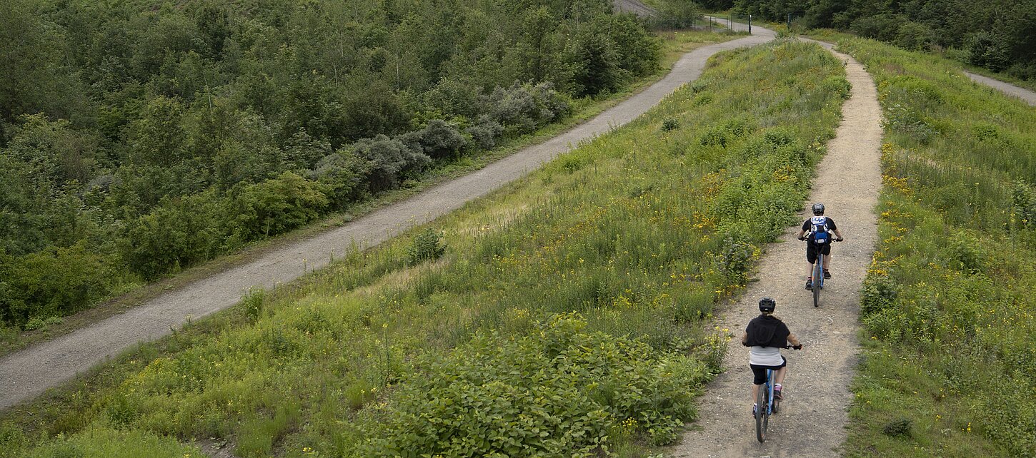 E-Mountainbiker auf der offiziellen Mountainbikestrecke der Halde Hoheward