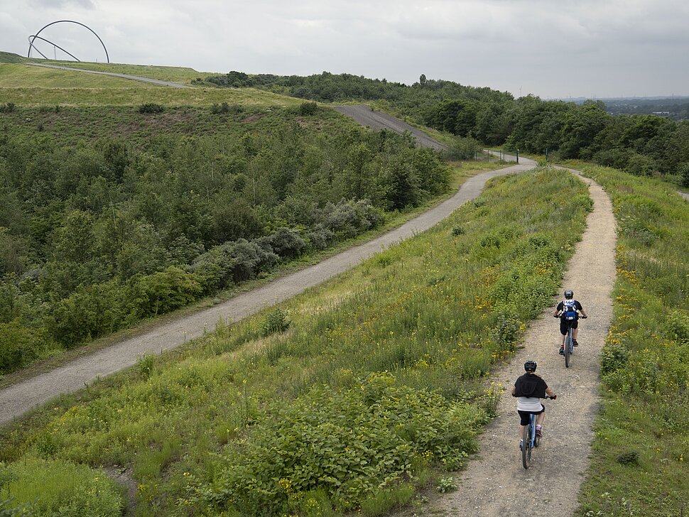 E-Mountainbiker auf der offiziellen Mountainbikestrecke der Halde Hoheward