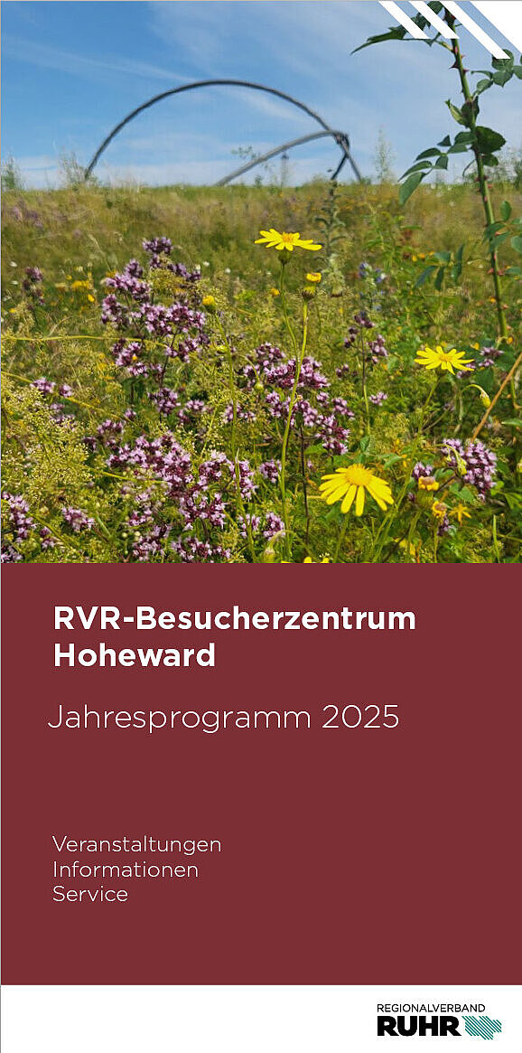 Veranstaltungen und Aktionen rund um die Halde Hoheward
