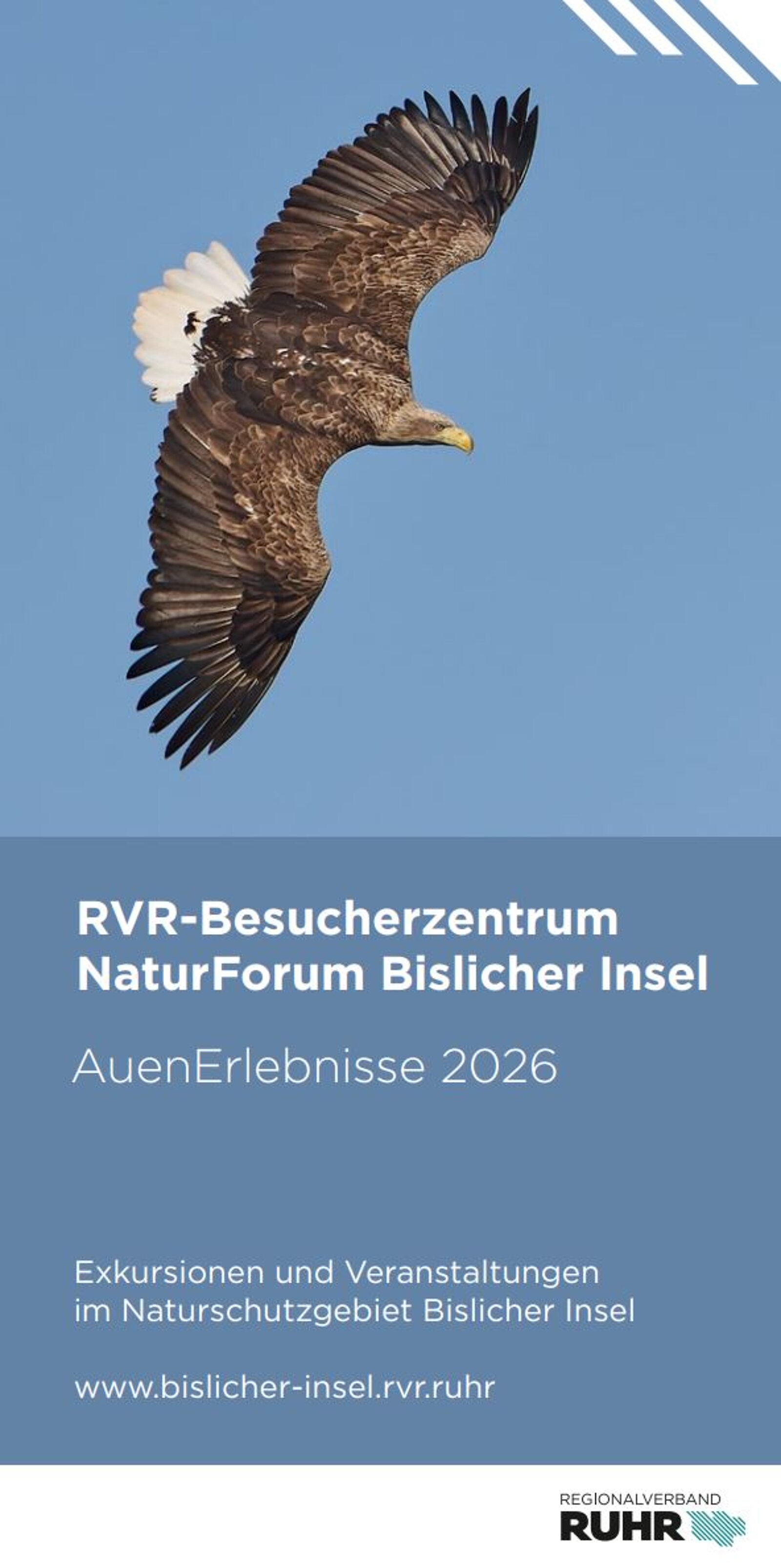 Jahresprogramm 2026 Bislicher Insel